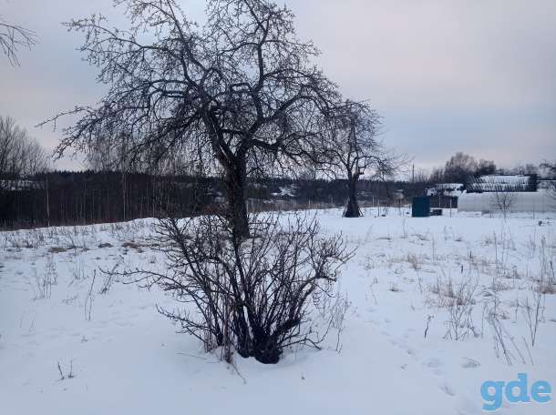 Продам участок с домом, ул. Центральная д.29, фотография 8