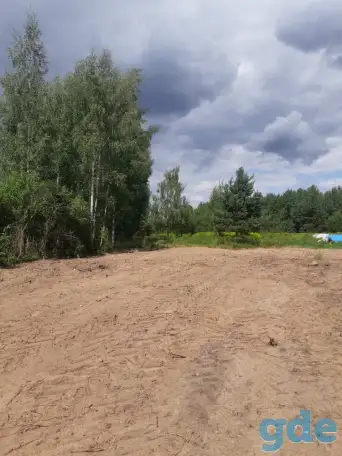 Ветхий дом, д. Светлица, ул. Октябрьская, д. 15, фотография 3