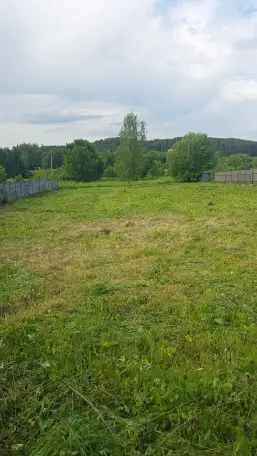Покос травы, фотография 3