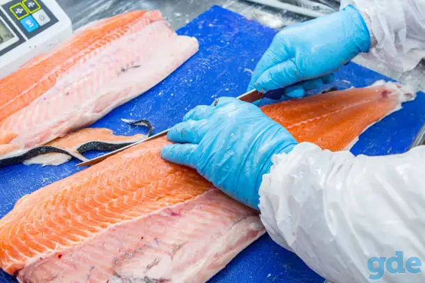 Рабочие на морепродукты (РФ, без опыта), фотография 1