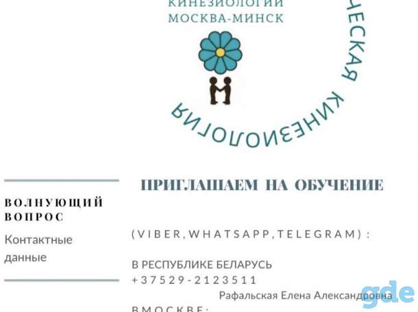 Приглашаем освоить образовательную программу 