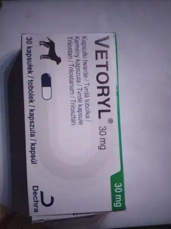 Продам препарат для собак Vеtoryl 30mg, фотография 1