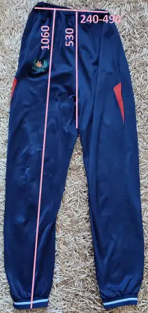 Мужские спортивки Kappa Sport, фотография 4