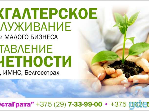 Бухгалтерские услуги, фотография 1