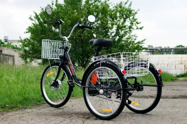 Электровелосипед AVM E-ALFA TRIKE 24, фотография 6