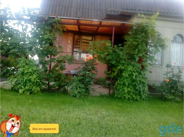 продам дачу, д.Боровцы, фотография 4