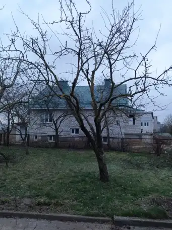 Садовник, фотография 1