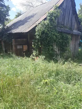 Дом в Пуще, д.Дворцы ул. Советская 40 Каменецкий р-н, фотография 2