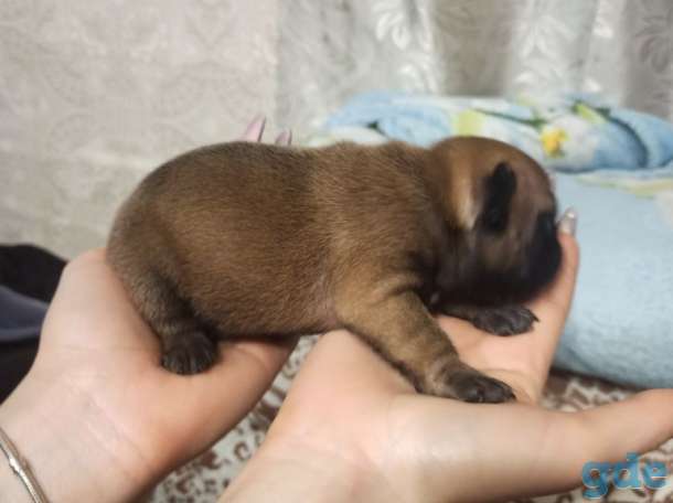 Продажа, фотография 7