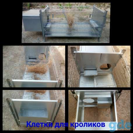 клетки для кроликов, фотография 1
