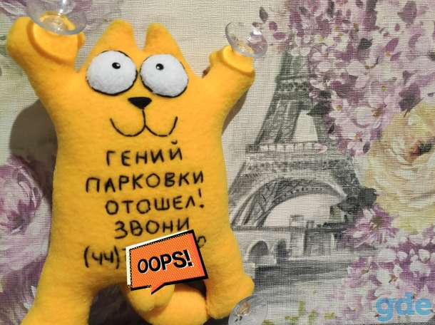 Кот Саймон в авто, фотография 9