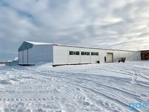 Склад С Холодильным Оборудованием В Молодечно 1620 м2, фотография 4