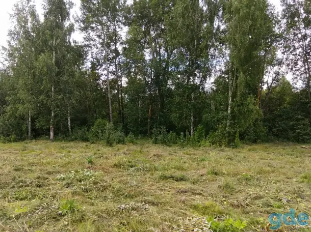 продам участок со срубом, Витебский р-н, Вайханский с/с, д. Мариамполь, ул. Новая 35Г, фотография 11