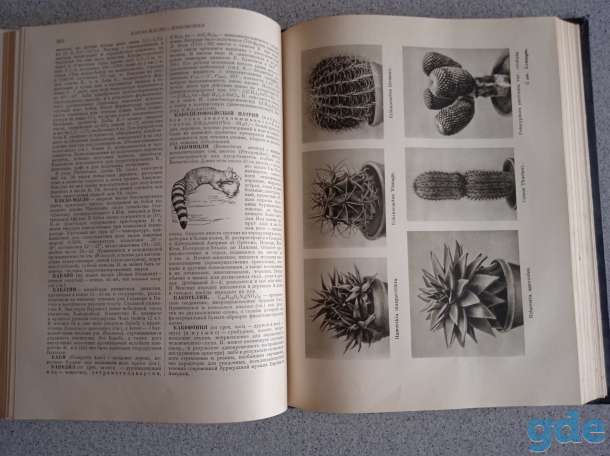 Большая советская энциклопедия, 1953, Том 19, фотография 8