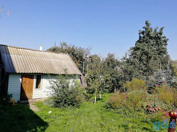 Дом в центре Толочина, Беларусь, фотография 8