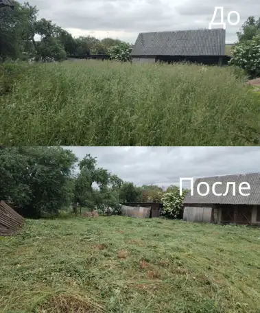 Покос травы/бурьяна/кустов Волковыск и пригород, фотография 8