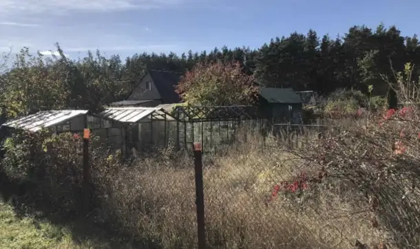 Продам дачный участок в 7 км от Ольшанки Гродно, фотография 8