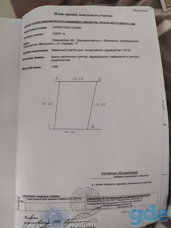 Дача, Гродненская обл. Козье горы