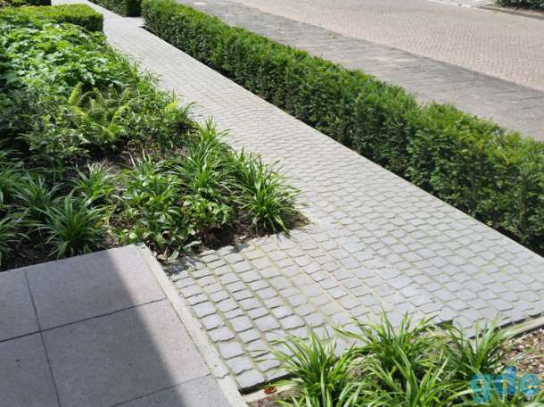 Плитка тротуарная (брусчатка) Carpet Stones., фотография 7