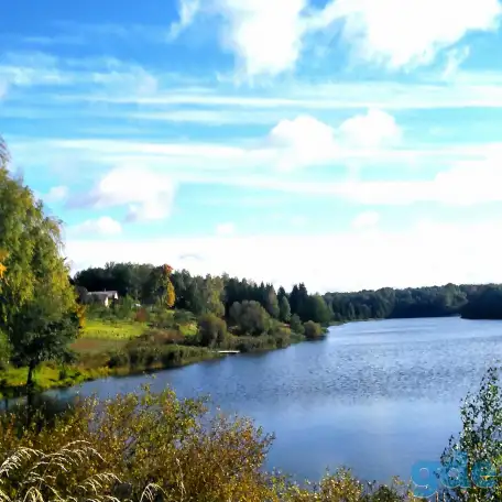Продаю квартиру, Дрибинский район. Рясна, фотография 10