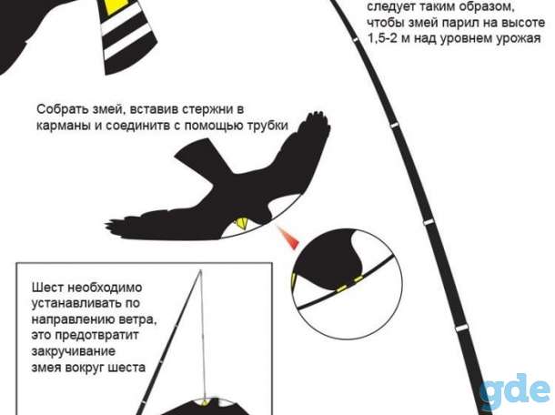 Воздушный змей 
