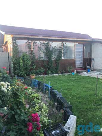 Продам дом с большой плантацией ягод и садом, Корма, фотография 10