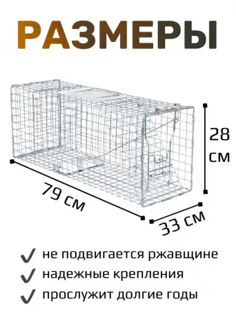 Аренда Котоловка клетка-ловушка складная, фотография 3