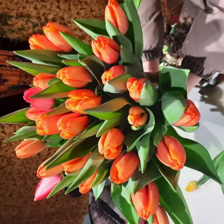 Продам, фотография 2