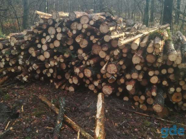 Продам дрова, фотография 3