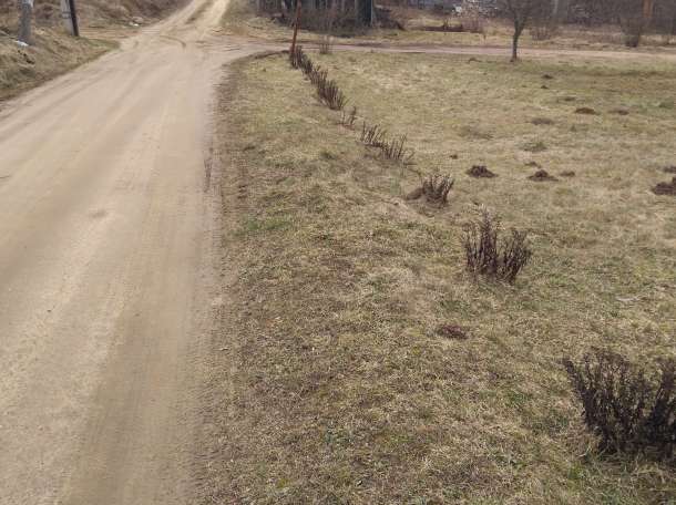 Срочно продам с/т Фантазия-Силичи, фотография 2