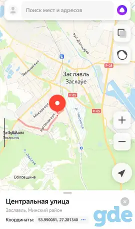 Пропала собака под Заславлем!!, фотография 4
