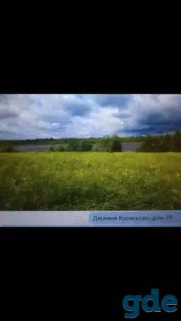 Продам дом в живописном месте, Псковская область, Невельский муниципальный округ, д. Косенково, фотография 2