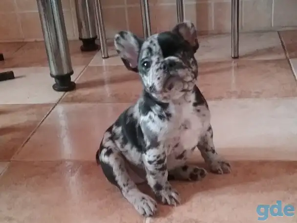Девочки, фотография 3