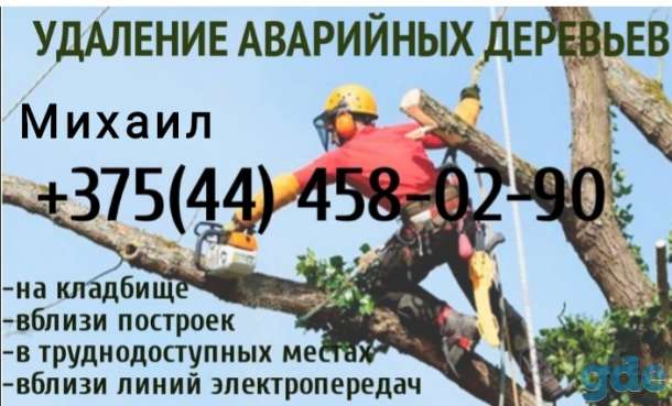 Удаление аварийных деревьев, фотография 3