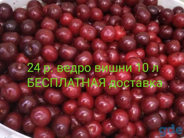 Вишня бесплатная доставка, фотография 1