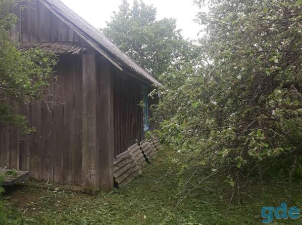 Продаётся дом с большим участком, район деревня Дрыла 2., фотография 6
