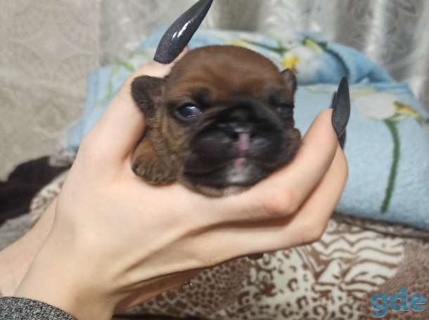 Продажа, фотография 1