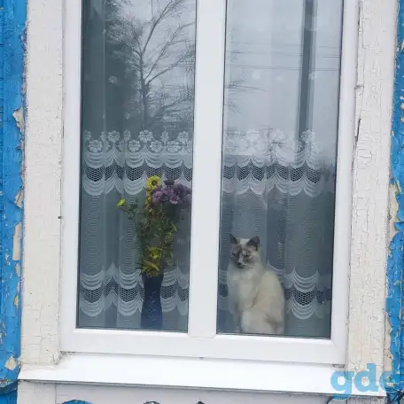 Окна ПВХ,обшивка балконов ,домов ,монтаж кровли ,заборы., фотография 11