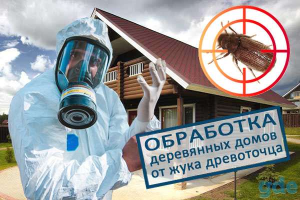 Обработка домов от жуков, фотография 1