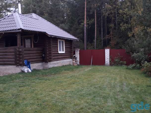 Дом для души, возле леса и в шаге от цивилизации, фотография 7