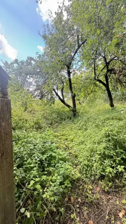 продам дом рядом с Борисовом, д.Новое Янчино, фотография 6