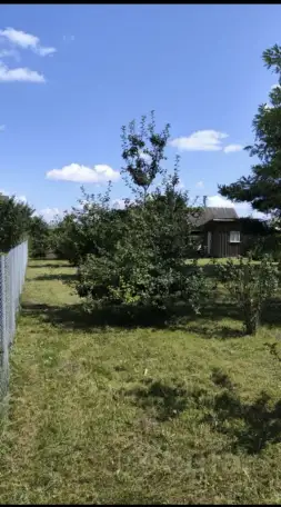 Дачный участок 12 соток, 40 лет Октября ул, Минская область, фотография 9
