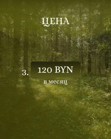 Русский язык ЦТ/ЦЭ Онлайн, фотография 7