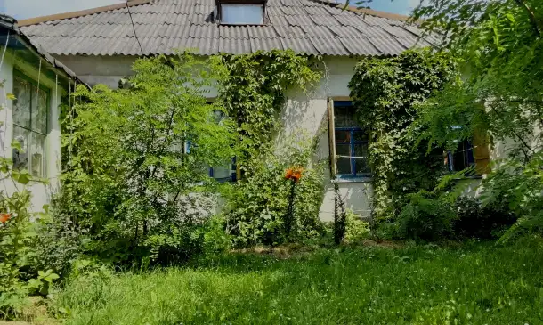 Дом в деревне, Гадовичи, Садовая 26, Пищаловский сельсовет, район, Витебская область., фотография 1