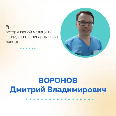 АНАТОМИЯ И ФИЗИОЛОГИЯ СОБАК ГЛАЗАМИ РЕАБИЛИТОЛОГА., фотография 2