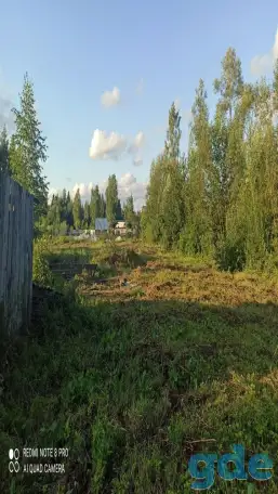 Дачный участок, Петушки Новики, фотография 5
