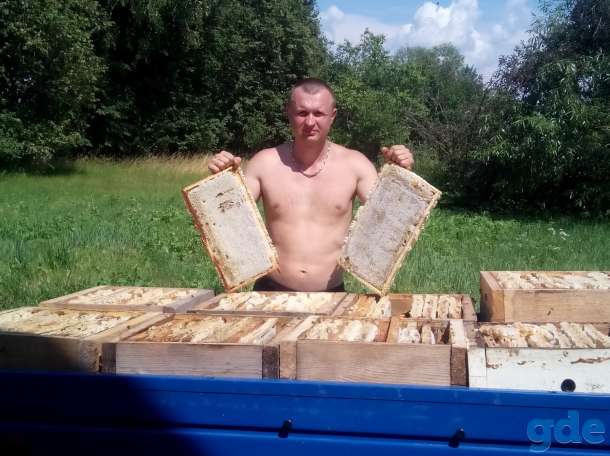 Мёд оптом, фотография 1