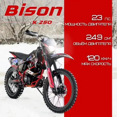 Эндуро мотоцикл AVM BisonX 250, фотография 1