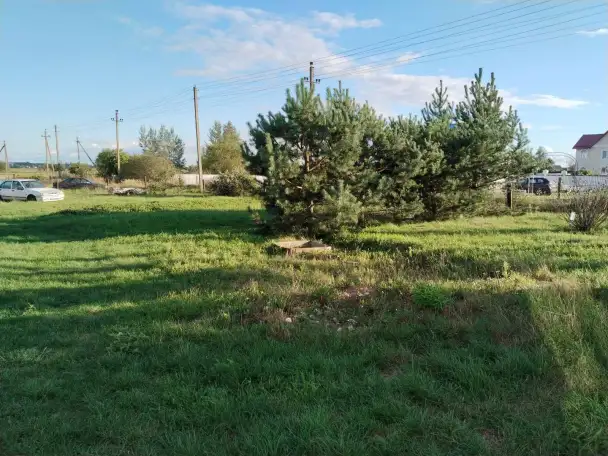 пережир, фотография 8