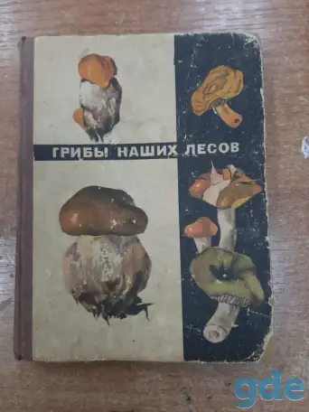 Книга 